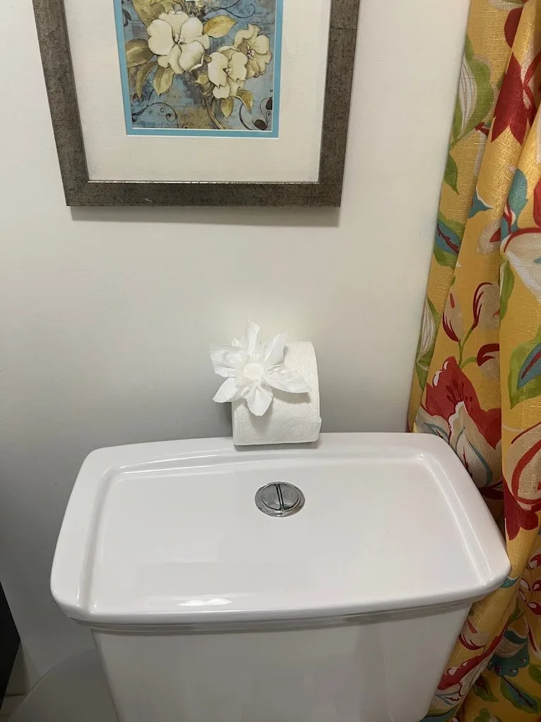Carefully folded tissue detail in a bathroom